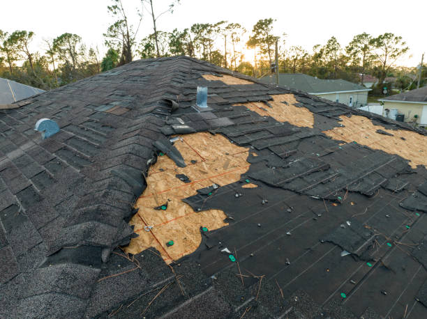 Roof Insulation in Burlington, KY